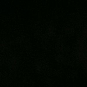 Meet your Posher, Kylee